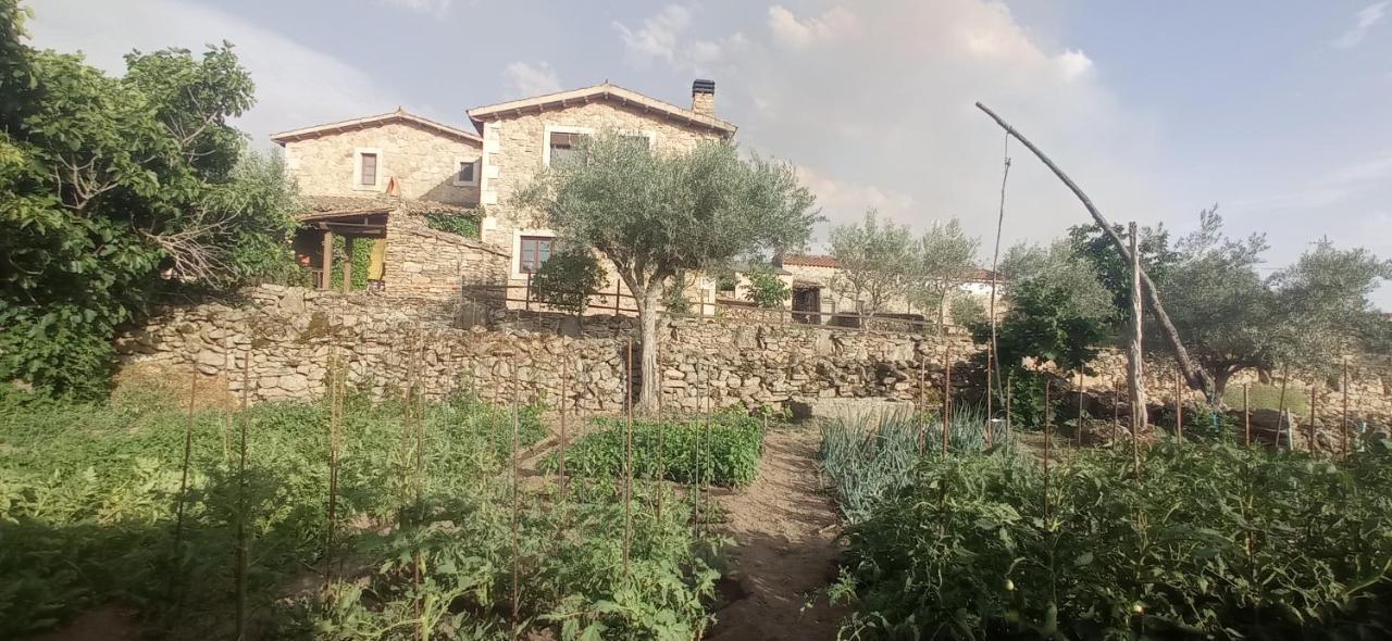 La Alqueria De Mamoles Guest House Luaran gambar